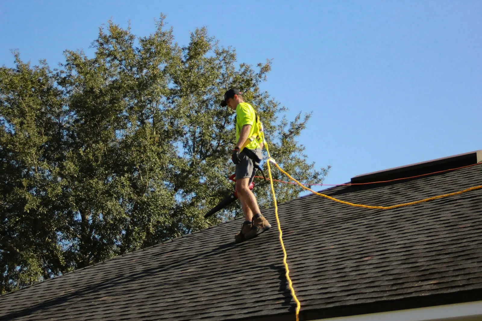 House with a pitched shingle roof